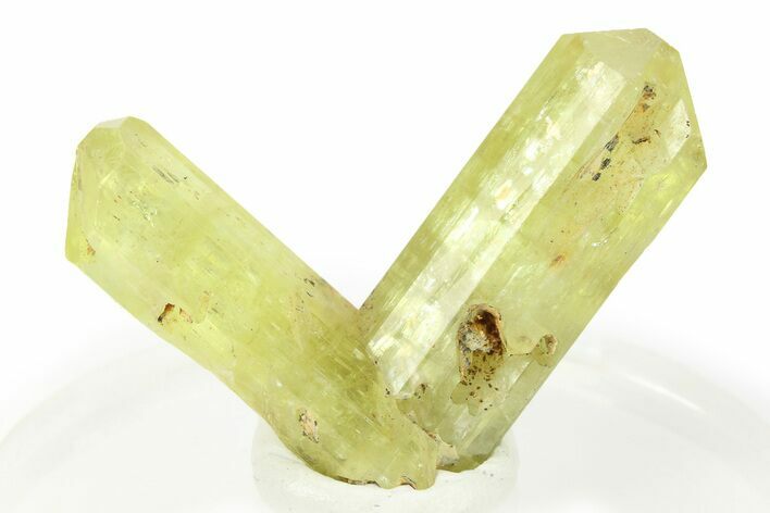 Gemmy Yellow-Green Apatite Crystal Cluster - Morocco #276494